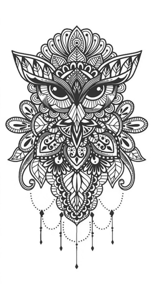 Enchanted Owl